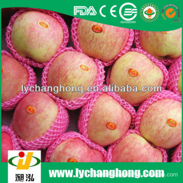 Factory directly supply high quality fresh Yantai Fuji apple